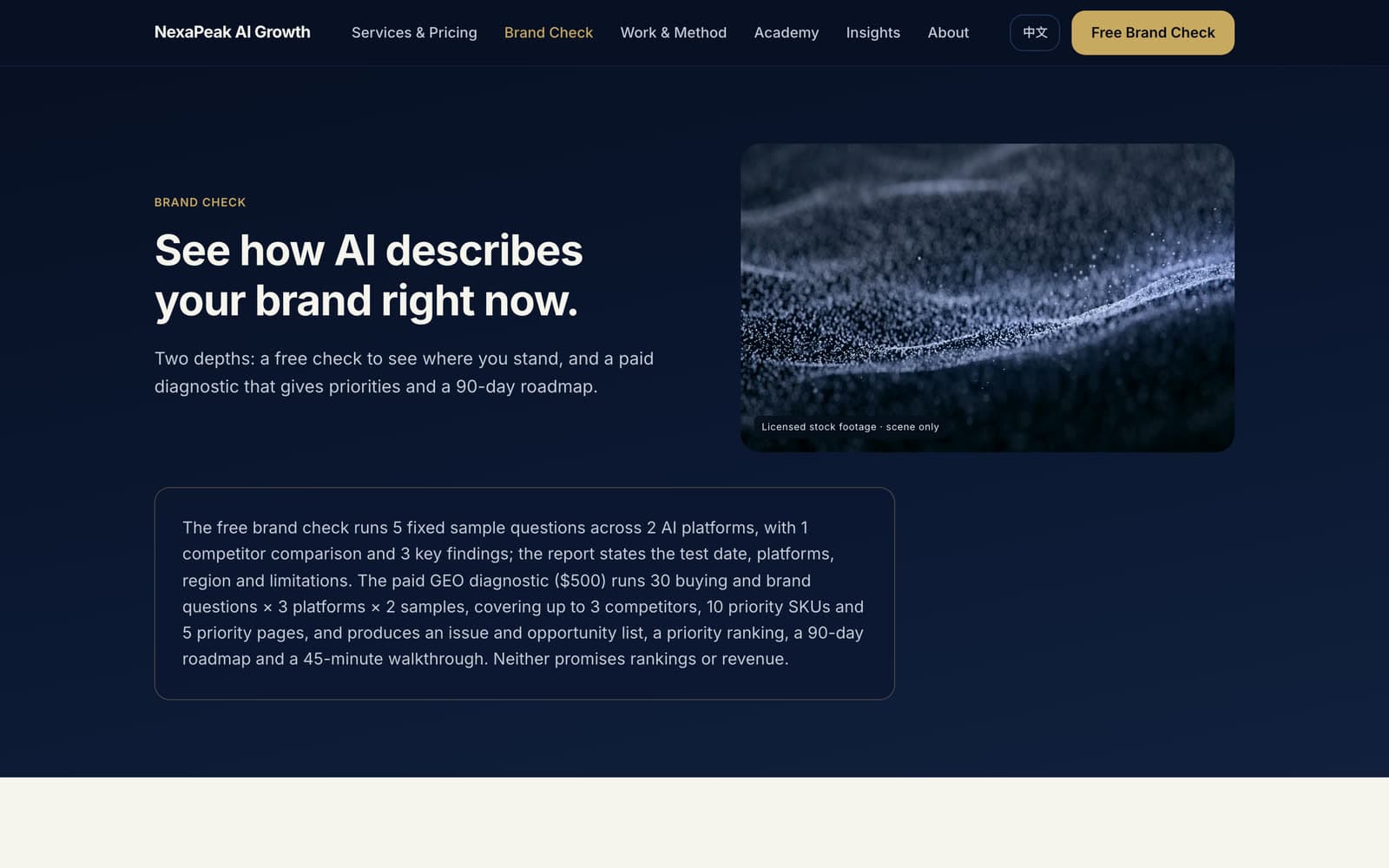 NexaPeak brand-check page, candidate build: scope, deliverables and acceptance conditions for the free check and the paid diagnostic