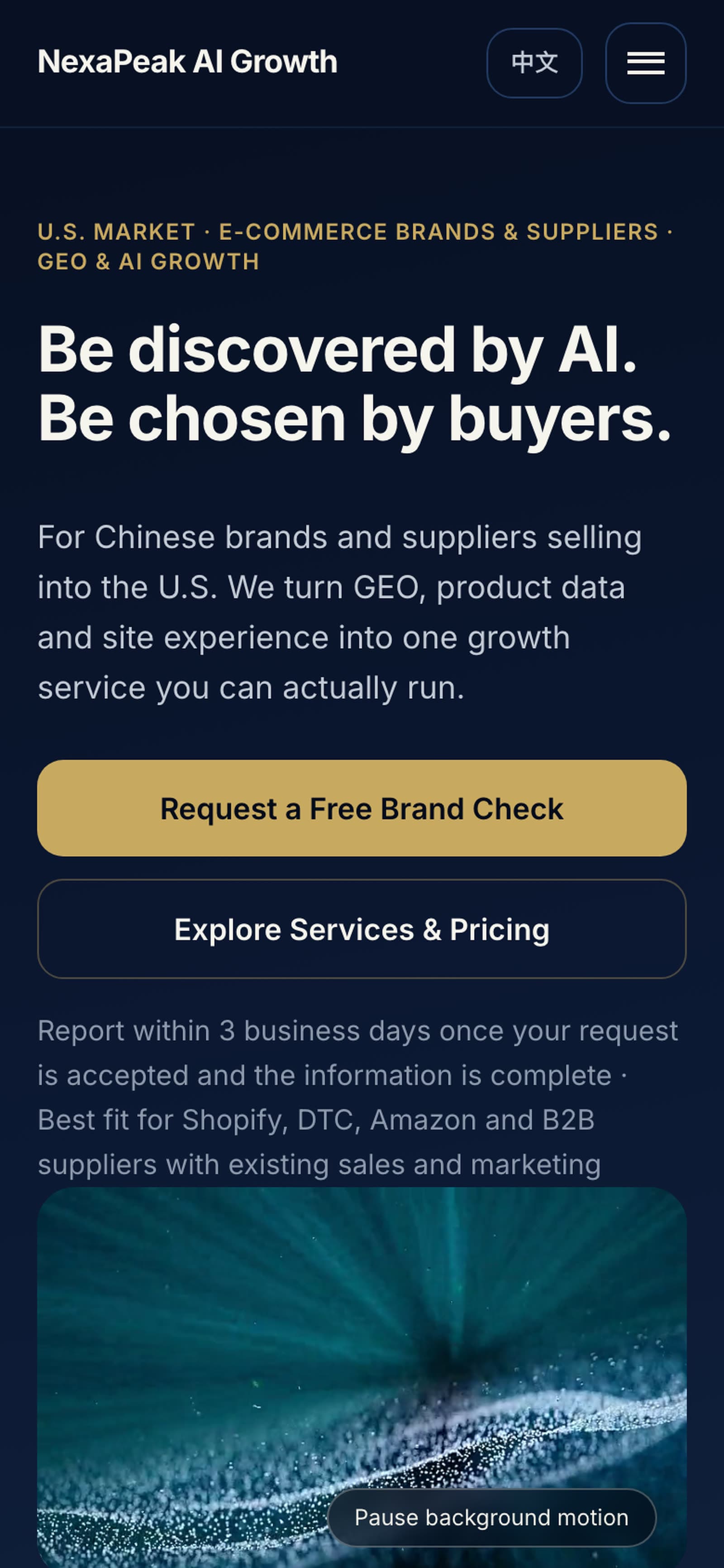 NexaPeak candidate site on mobile: headline, description and the main button come before the image